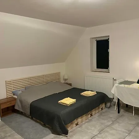 Moderni Podkrovni Garsonka S Parkovanim Zdarma * Prag