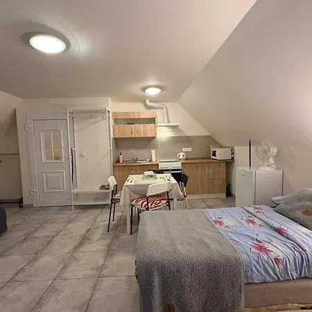 Moderni Podkrovni Garsonka S Parkovanim Zdarma