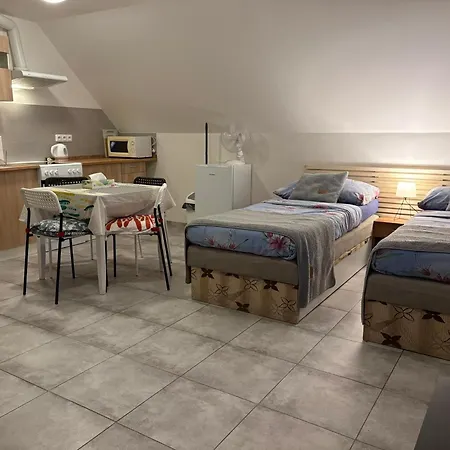 Moderni Podkrovni Garsonka S Parkovanim Zdarma * Prag