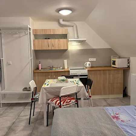 Apartment Podkrovni Garsonka S Parkovanim Zdarma Prag